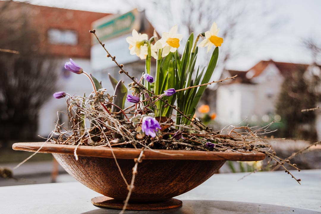 Blumen-Floristik-Gärtnerei Trinkl, Loipersbach: Frühling und Ostern