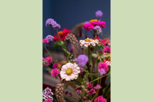 Blumen und Gärtnerei Trinkl, Mattersburg