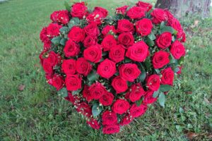 Trauer: Blumen Trinkl, Mattersburg
