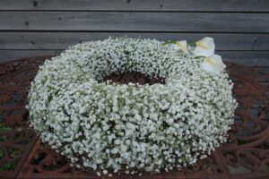 Trauer: Blumen Trinkl, Mattersburg